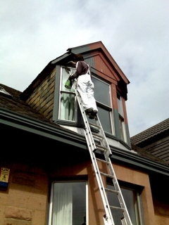 dorma window painting glasgow